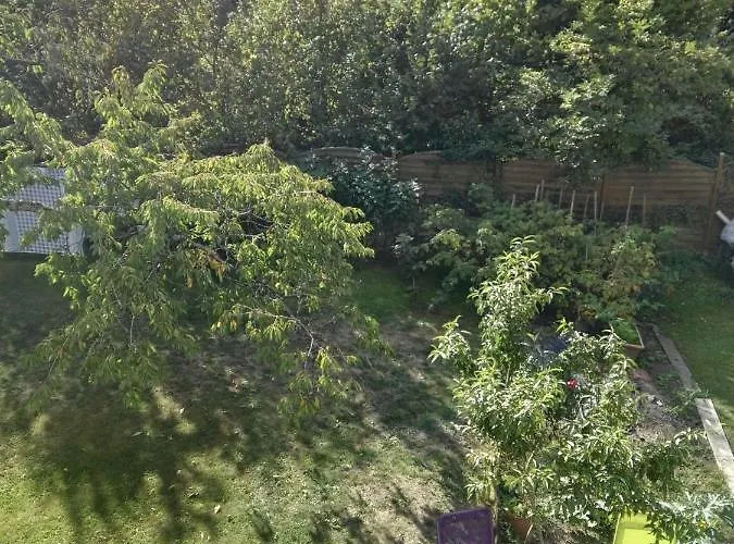 Le Grenier Séjour à la campagne Les Ageux